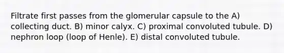 Filtrate first passes from the glomerular capsule to the A) collecting duct. B) minor calyx. C) proximal convoluted tubule. D) nephron loop (loop of Henle). E) distal convoluted tubule.