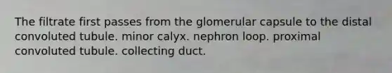 The filtrate first passes from the glomerular capsule to the distal convoluted tubule. minor calyx. nephron loop. proximal convoluted tubule. collecting duct.