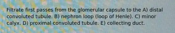 Filtrate first passes from the glomerular capsule to the A) distal convoluted tubule. B) nephron loop (loop of Henle). C) minor calyx. D) proximal convoluted tubule. E) collecting duct.