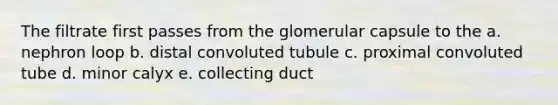 The filtrate first passes from the glomerular capsule to the a. nephron loop b. distal convoluted tubule c. proximal convoluted tube d. minor calyx e. collecting duct