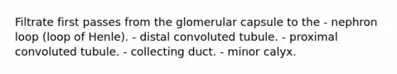 Filtrate first passes from the glomerular capsule to the - nephron loop (loop of Henle). - distal convoluted tubule. - proximal convoluted tubule. - collecting duct. - minor calyx.