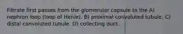 Filtrate first passes from the glomerular capsule to the A) nephron loop (loop of Henle). B) proximal convoluted tubule. C) distal convoluted tubule. D) collecting duct.