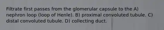 Filtrate first passes from the glomerular capsule to the A) nephron loop (loop of Henle). B) proximal convoluted tubule. C) distal convoluted tubule. D) collecting duct.