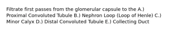 Filtrate first passes from the glomerular capsule to the A.) Proximal Convoluted Tubule B.) Nephron Loop (Loop of Henle) C.) Minor Calyx D.) Distal Convoluted Tubule E.) Collecting Duct