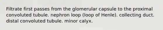 Filtrate first passes from the glomerular capsule to the proximal convoluted tubule. nephron loop (loop of Henle). collecting duct. distal convoluted tubule. minor calyx.