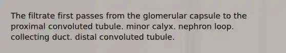 The filtrate first passes from the glomerular capsule to the proximal convoluted tubule. minor calyx. nephron loop. collecting duct. distal convoluted tubule.