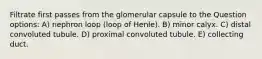 Filtrate first passes from the glomerular capsule to the Question options: A) nephron loop (loop of Henle). B) minor calyx. C) distal convoluted tubule. D) proximal convoluted tubule. E) collecting duct.