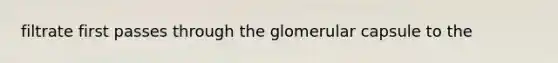 filtrate first passes through the glomerular capsule to the