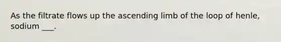 As the filtrate flows up the ascending limb of the loop of henle, sodium ___.