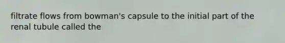 filtrate flows from bowman's capsule to the initial part of the renal tubule called the