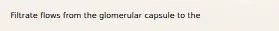 Filtrate flows from the glomerular capsule to the