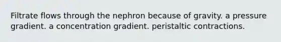 Filtrate flows through the nephron because of gravity. a pressure gradient. a concentration gradient. peristaltic contractions.