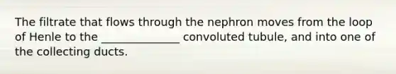 The filtrate that flows through the nephron moves from the loop of Henle to the ______________ convoluted tubule, and into one of the collecting ducts.