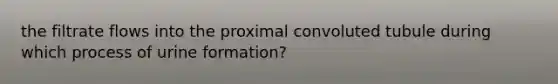 the filtrate flows into the proximal convoluted tubule during which process of urine formation?