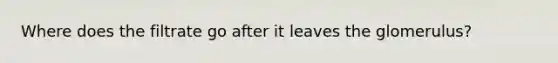 Where does the filtrate go after it leaves the glomerulus?