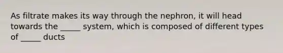 As filtrate makes its way through the nephron, it will head towards the _____ system, which is composed of different types of _____ ducts