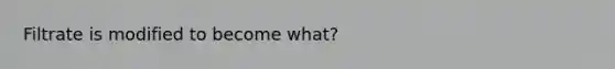 Filtrate is modified to become what?