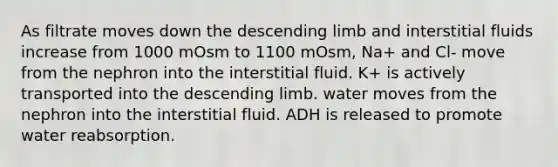 As filtrate moves down the descending limb and interstitial fluids increase from 1000 mOsm to 1100 mOsm, Na+ and Cl- move from the nephron into the interstitial fluid. K+ is actively transported into the descending limb. water moves from the nephron into the interstitial fluid. ADH is released to promote water reabsorption.