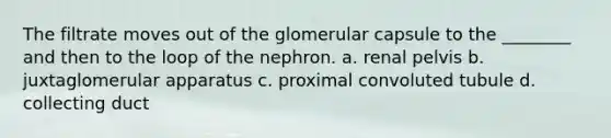 The filtrate moves out of the glomerular capsule to the ________ and then to the loop of the nephron. a. renal pelvis b. juxtaglomerular apparatus c. proximal convoluted tubule d. collecting duct