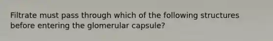 Filtrate must pass through which of the following structures before entering the glomerular capsule?