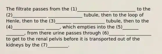 The filtrate passes from the (1)______________ ___________ to the (2)_______________ _______________ tubule, then to the loop of Henle, then to the (3)_______ ______________ tubule, then to the (4)______________ ______, which empties into the (5)_______ ________, from there urine passes through (6)_______ ___________ to get to the renal pelvis before it is transported out of the kidneys by the (7)_________.