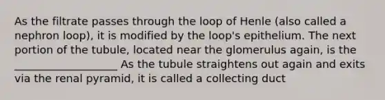 As the filtrate passes through the loop of Henle (also called a nephron loop), it is modified by the loop's epithelium. The next portion of the tubule, located near the glomerulus again, is the ___________________ As the tubule straightens out again and exits via the renal pyramid, it is called a collecting duct