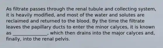 As filtrate passes through the renal tubule and collecting system, it is heavily modified, and most of the water and solutes are reclaimed and returned to <a href='https://www.questionai.com/knowledge/k7oXMfj7lk-the-blood' class='anchor-knowledge'>the blood</a>. By the time the filtrate leaves the papillary ducts to enter the minor calyces, it is known as _______________, which then drains into the major calyces and, finally, into the renal pelvis.