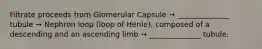 Filtrate proceeds from Glomerular Capsule → ______________ tubule → Nephron loop (loop of Henle), composed of a descending and an ascending limb → ______________ tubule.