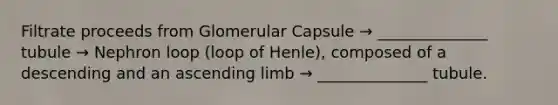 Filtrate proceeds from Glomerular Capsule → ______________ tubule → Nephron loop (loop of Henle), composed of a descending and an ascending limb → ______________ tubule.