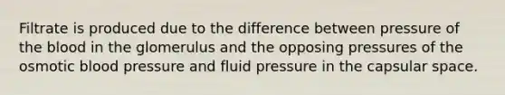 Filtrate is produced due to the difference between pressure of the blood in the glomerulus and the opposing pressures of the osmotic blood pressure and fluid pressure in the capsular space.