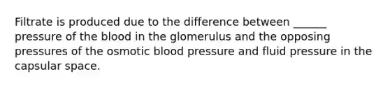 Filtrate is produced due to the difference between ______ pressure of <a href='https://www.questionai.com/knowledge/k7oXMfj7lk-the-blood' class='anchor-knowledge'>the blood</a> in the glomerulus and the opposing pressures of the osmotic <a href='https://www.questionai.com/knowledge/kD0HacyPBr-blood-pressure' class='anchor-knowledge'>blood pressure</a> and fluid pressure in the capsular space.