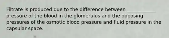 Filtrate is produced due to the difference between ____________ pressure of the blood in the glomerulus and the opposing pressures of the osmotic blood pressure and fluid pressure in the capsular space.