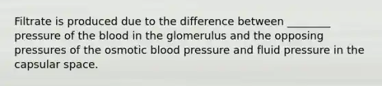 Filtrate is produced due to the difference between ________ pressure of the blood in the glomerulus and the opposing pressures of the osmotic blood pressure and fluid pressure in the capsular space.