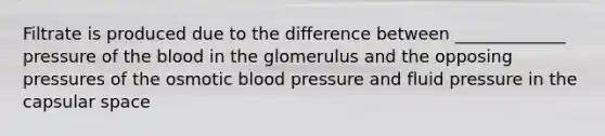 Filtrate is produced due to the difference between _____________ pressure of the blood in the glomerulus and the opposing pressures of the osmotic blood pressure and fluid pressure in the capsular space