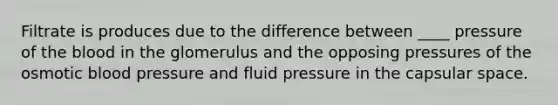 Filtrate is produces due to the difference between ____ pressure of the blood in the glomerulus and the opposing pressures of the osmotic blood pressure and fluid pressure in the capsular space.