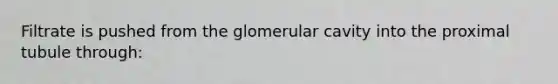 Filtrate is pushed from the glomerular cavity into the proximal tubule through: