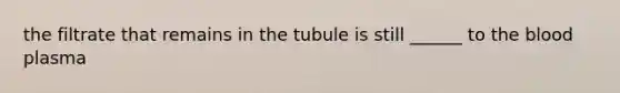 the filtrate that remains in the tubule is still ______ to the blood plasma