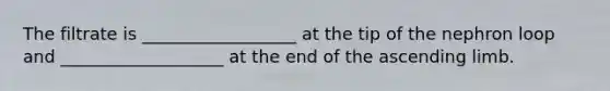 The filtrate is __________________ at the tip of the nephron loop and ___________________ at the end of the ascending limb.