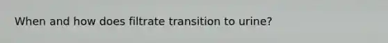 When and how does filtrate transition to urine?