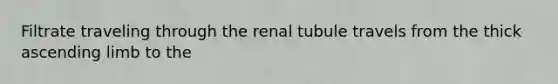 Filtrate traveling through the renal tubule travels from the thick ascending limb to the