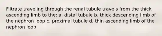 Filtrate traveling through the renal tubule travels from the thick ascending limb to the: a. distal tubule b. thick descending limb of the nephron loop c. proximal tubule d. thin ascending limb of the nephron loop