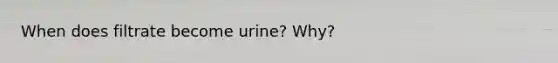 When does filtrate become urine? Why?