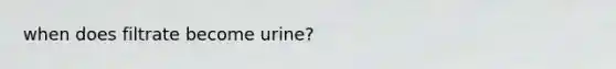 when does filtrate become urine?