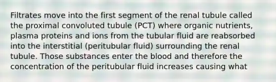 Filtrates move into the first segment of the renal tubule called the proximal convoluted tubule (PCT) where organic nutrients, plasma proteins and ions from the tubular fluid are reabsorbed into the interstitial (peritubular fluid) surrounding the renal tubule. Those substances enter <a href='https://www.questionai.com/knowledge/k7oXMfj7lk-the-blood' class='anchor-knowledge'>the blood</a> and therefore the concentration of the peritubular fluid increases causing what