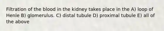 Filtration of the blood in the kidney takes place in the A) loop of Henle B) glomerulus. C) distal tubule D) proximal tubule E) all of the above