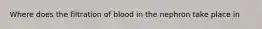 Where does the filtration of blood in the nephron take place in