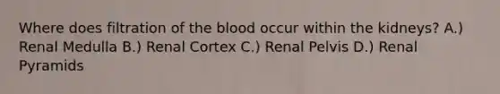 Where does filtration of the blood occur within the kidneys? A.) Renal Medulla B.) Renal Cortex C.) Renal Pelvis D.) Renal Pyramids