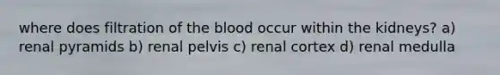 where does filtration of the blood occur within the kidneys? a) renal pyramids b) renal pelvis c) renal cortex d) renal medulla