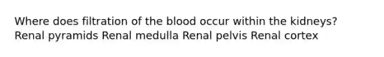 Where does filtration of the blood occur within the kidneys? Renal pyramids Renal medulla Renal pelvis Renal cortex