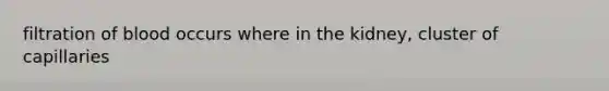 filtration of blood occurs where in the kidney, cluster of capillaries